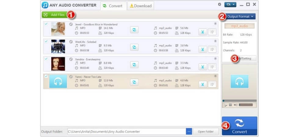 Any Audio Converter Interface