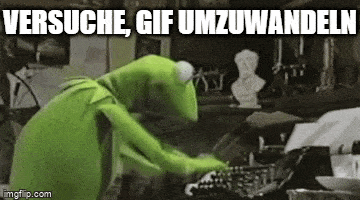 gif zu video konvertieren
