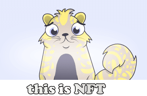 NFT Cryptokitties 896775 Credits: cryptokitties.co