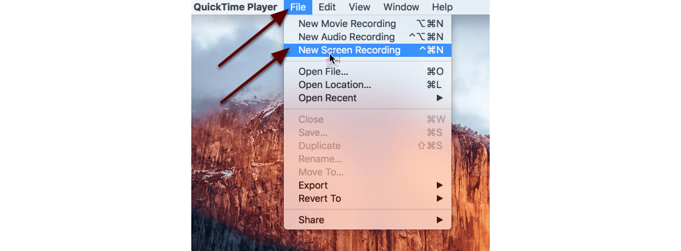 QuickTime Player Overview