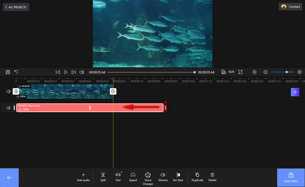 Adjust Audio Track