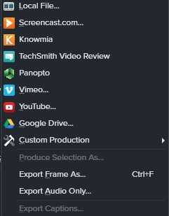Camtasia Export