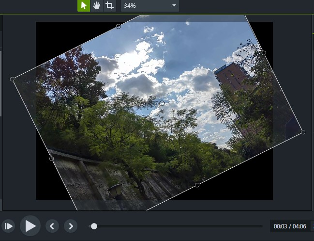 Camtasia Preview Window