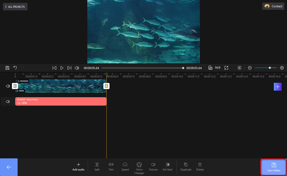 Export the Video with Music