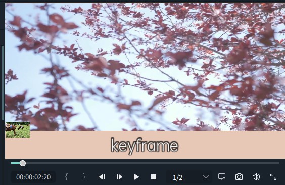 Filmora Key Framing
