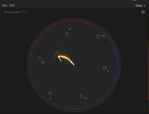 Final Cut Pro Vectorscope