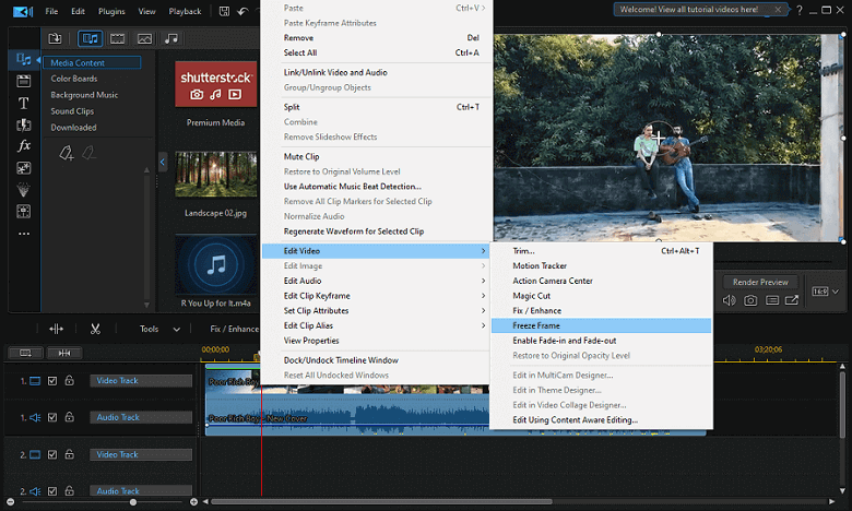 Edit Video & Freeze Frame