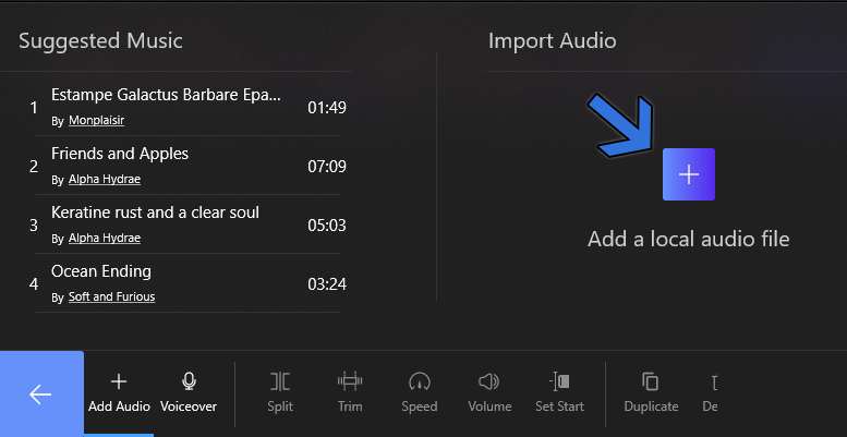 Select an Audio to Add
