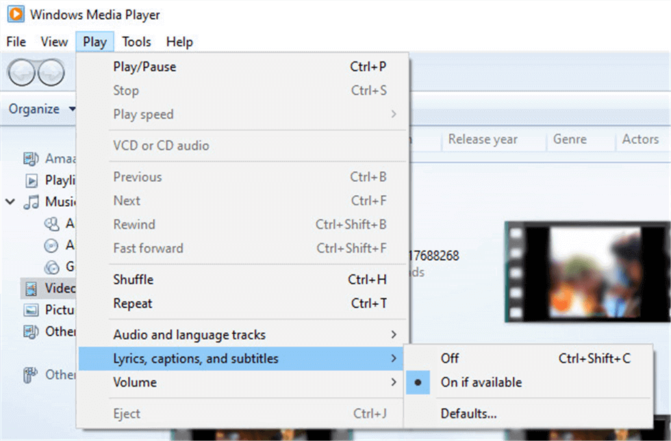 Add Subtitles to the Video on Windows Media Player