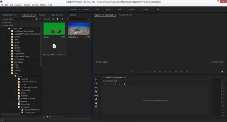 Adobe Premiere Pro Assembly