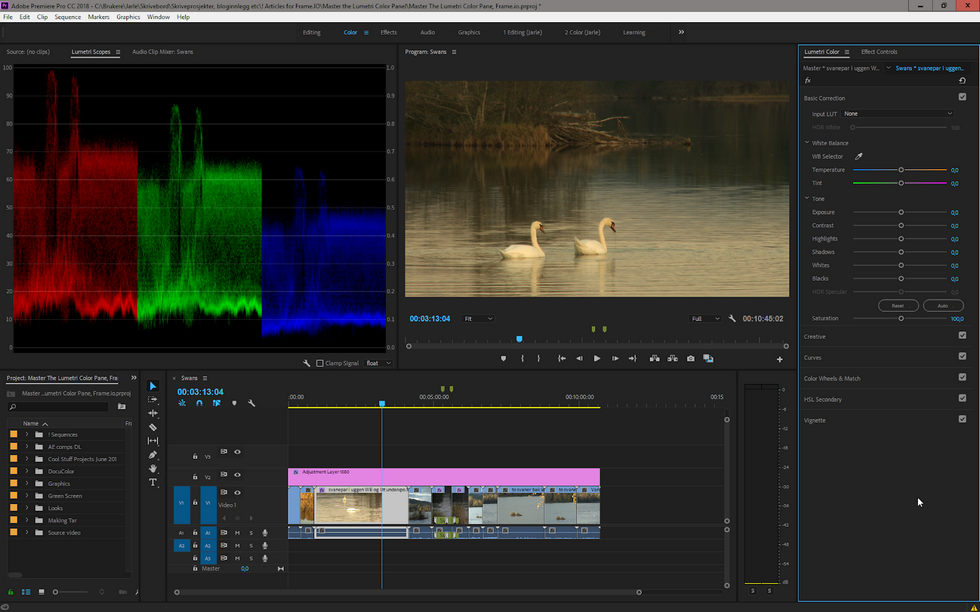 Premiere Pro Color