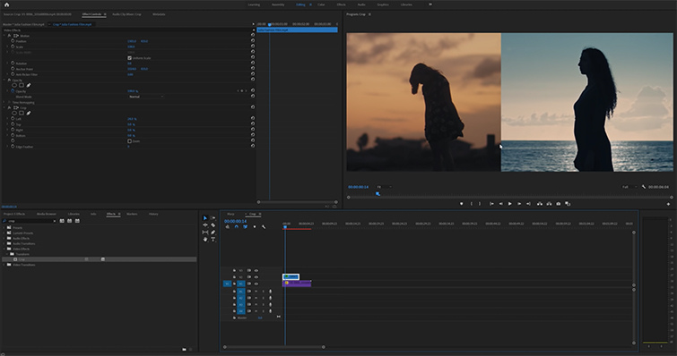 Premiere Pro Effects