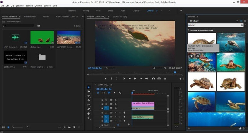 Premiere Pro Libraries