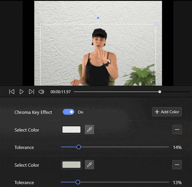 How to Remove Video Background with/without Green Screen