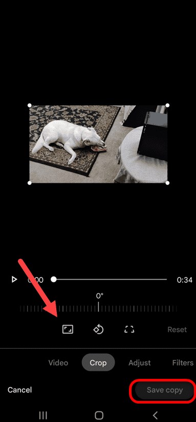 Save Copy the Video in Google Photos