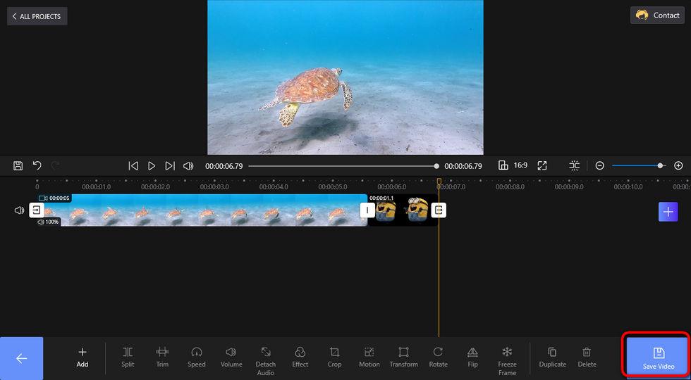 Save and Export Sticker Video