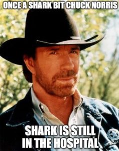 Chuck Norris