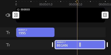 Add Multiple Text