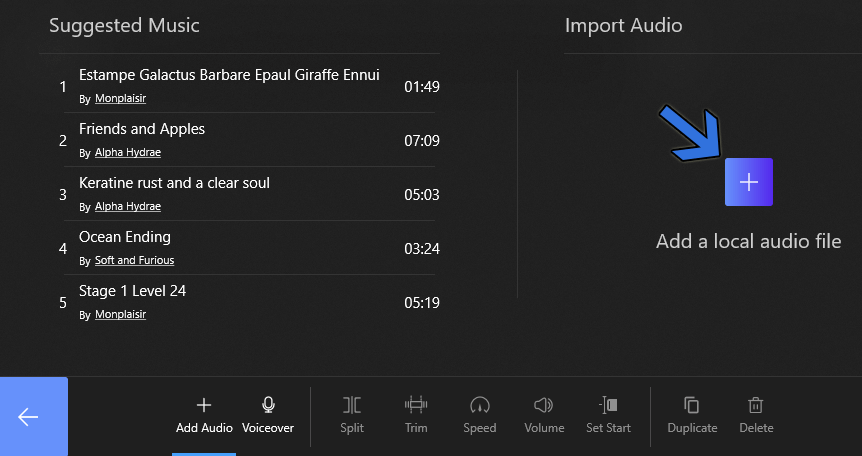 Add a Local Audio File
