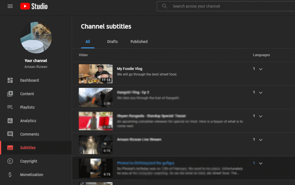 Add Subtitles to YouTube Video