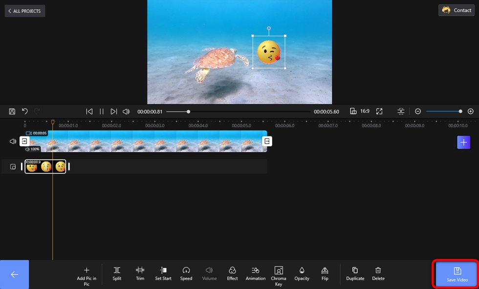 Save and Export Animation Videos