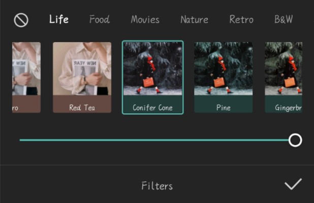 How to Download the CapCut Filters