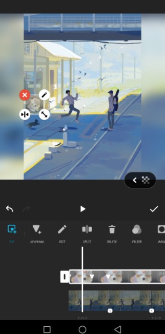 Android Video Editor Inshot