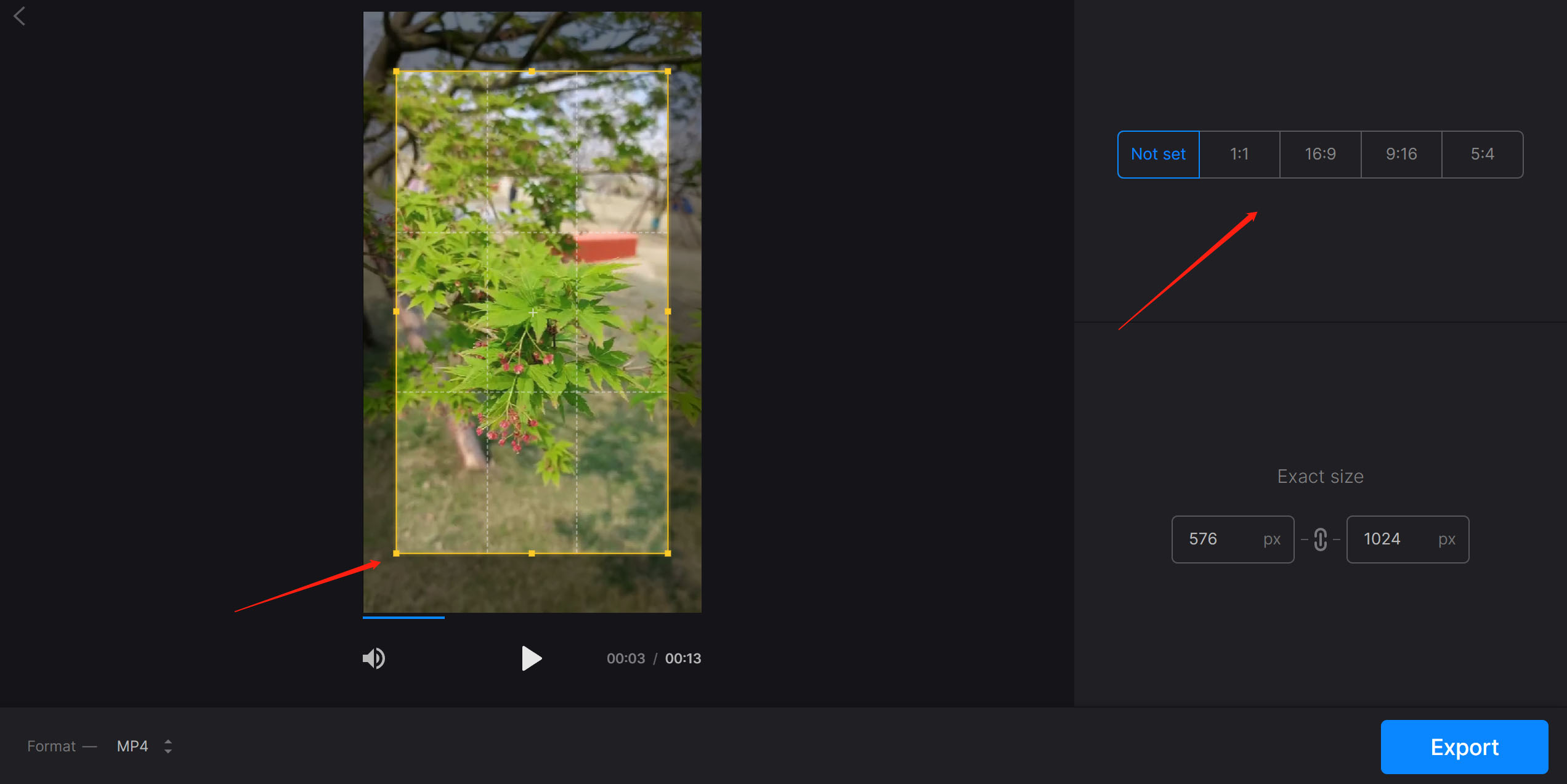 Crop Video on Mac Online