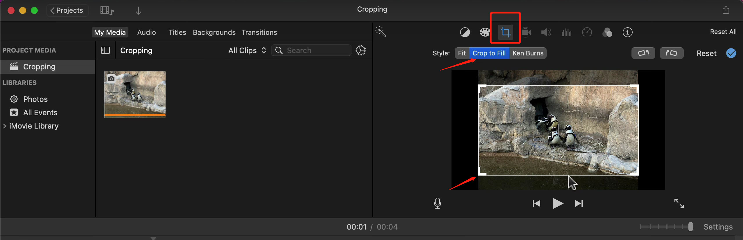 Click the Crop Icon