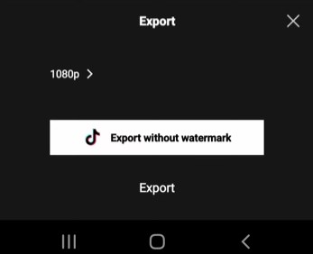 Export without Watermark