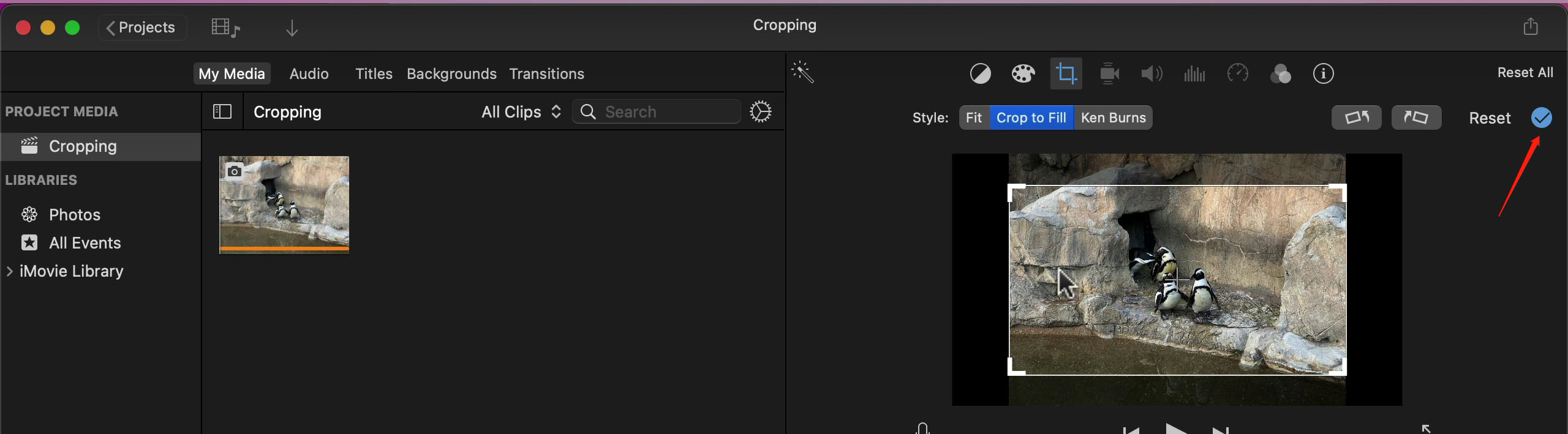 Preview the Cropped Video