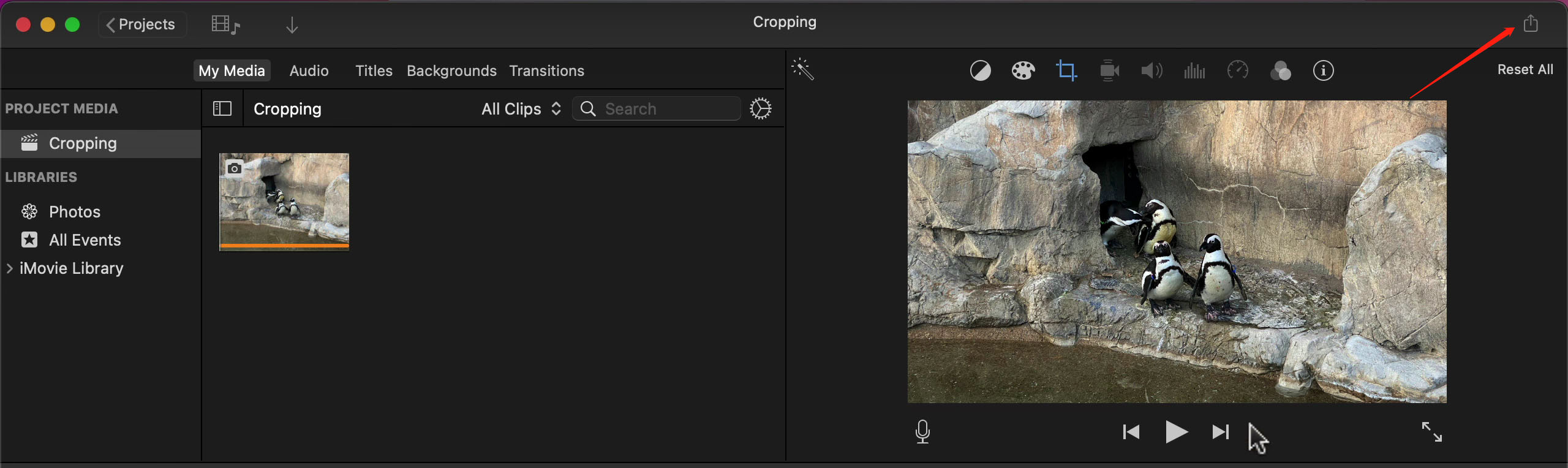 Save the Cropped Video on iMovie