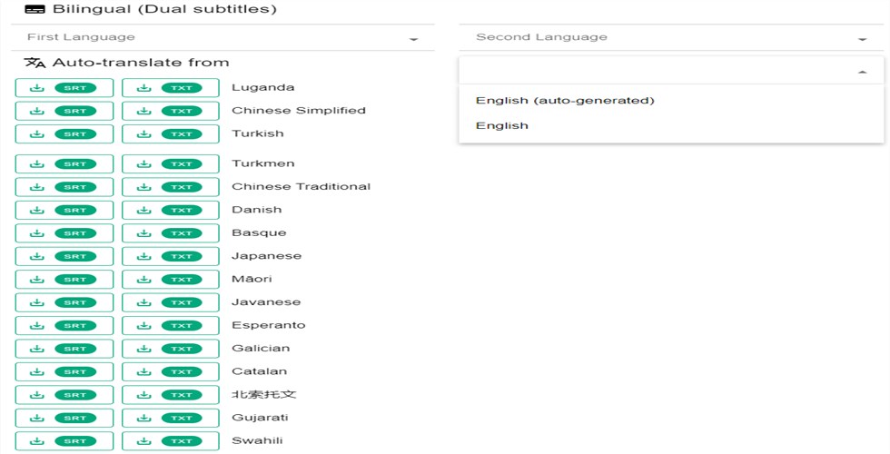 Set up the Languge Option