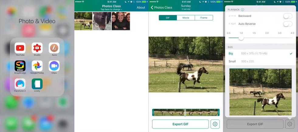 Converting iPhone Live Photos to Videos Using Lively