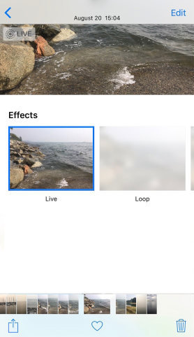 Loop Live Photos on iPhone