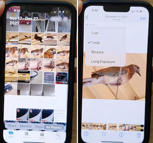 Make a Looped Video from Live Photos