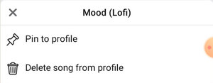 Pin Music to Your Profile