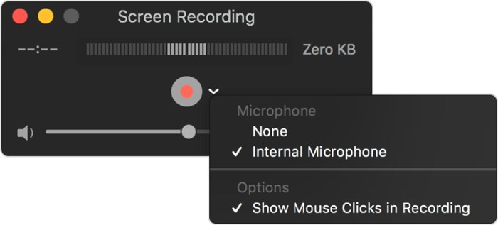 Record Duo Video Call with Quicktime