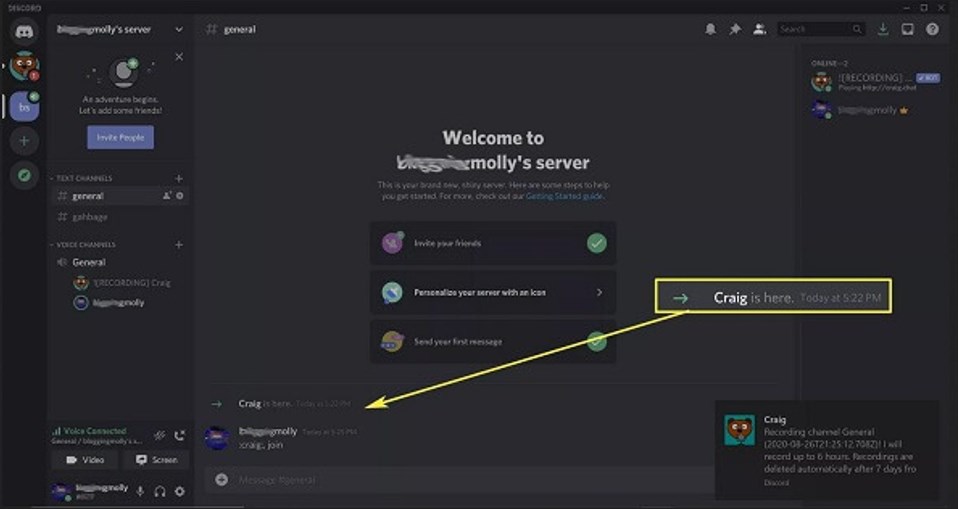 Record the Discord Call with Craig