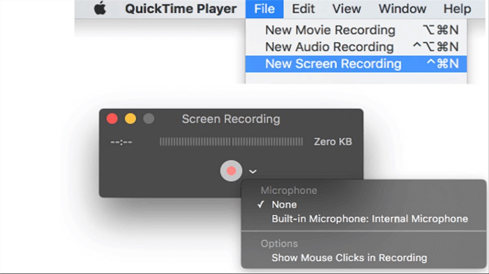 Record Skype Video Call with QuickTime