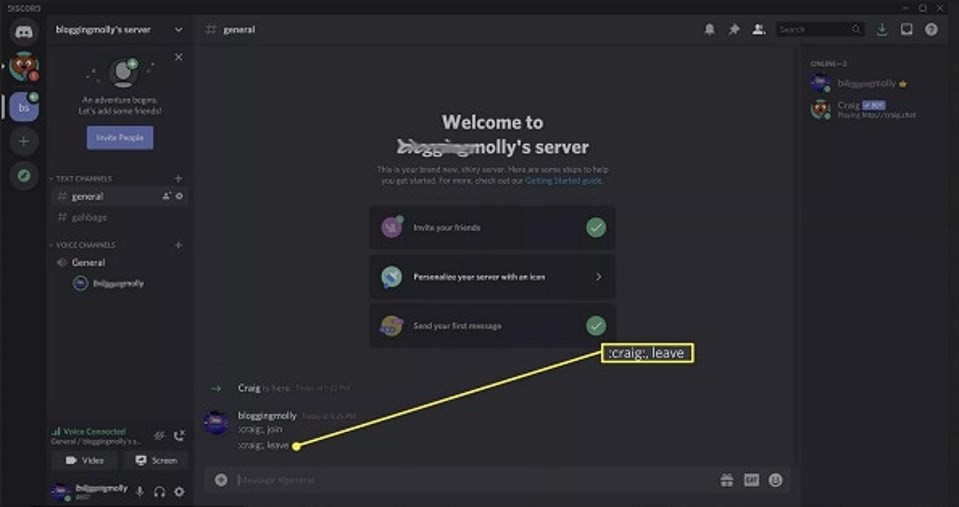 Stop to Record Discord Call on Craig