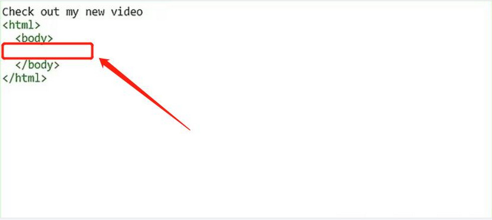 Paste the Video Code Into the Appropriate Place in the HTML
