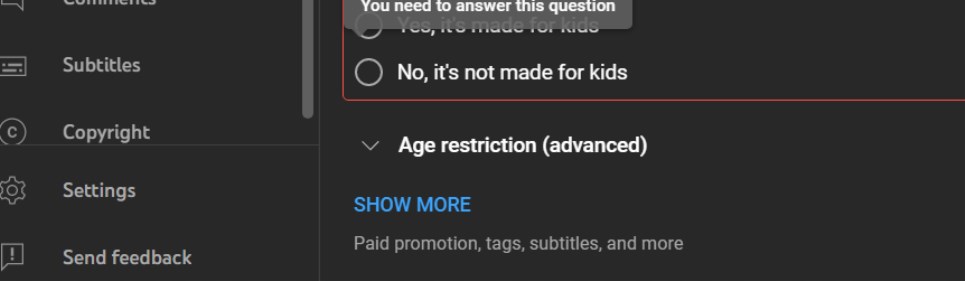YouTube Comments Section