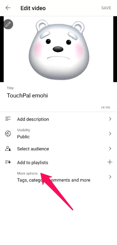 YouTube Videos More Options